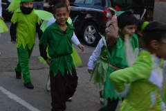 carnaval-2018_colegio-lDSC_1557