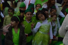 carnaval-2018_colegio-lDSC_1689