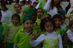carnaval-2018_colegio-lDSC_1690