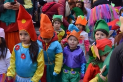 carnaval-2018_colegio-lDSC_1649