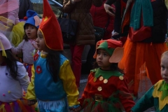 carnaval-2018_colegio-lDSC_1650