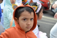 carnaval-2018_colegio-lDSC_0095