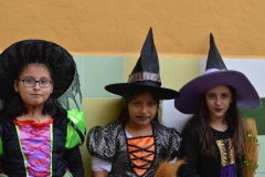 carnaval-2018_colegio-lDSC_0144