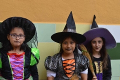 carnaval-2018_colegio-lDSC_0145