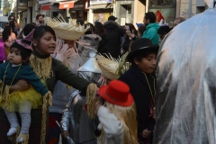 carnaval-2018_colegio-lDSC_1536