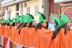 carnaval-2018_colegio-lDSC_0004