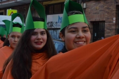 carnaval-2018_colegio-lDSC_1625